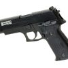 AW Custom Swiss Arms P226R Full Metal GBB Black
