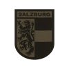 Clawgear Salzburg Shield Patch RAL7013