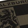 Clawgear Salzburg Shield Patch RAL7013