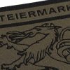 Clawgear Steiermark Shield Patch RAL7013