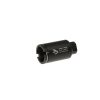 Element Skull Frog Small Amplifier CCW Black