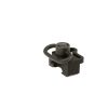 Element Skull Frog Small Amplifier CCW Black