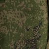 Invader Gear Predator Combat Pant Digital Flora L Invader Gear Predator Combat Pant Digital Flora L